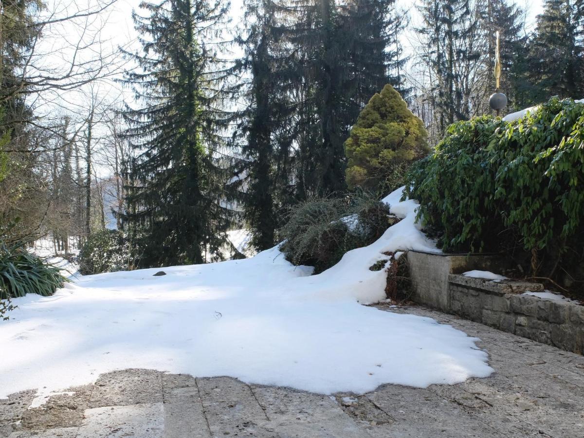 Villa Sawallisch Грасау Екстериор снимка